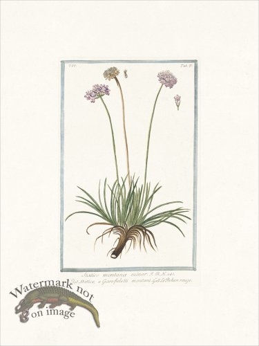 (image for) Bonelli 537 Alpine armory