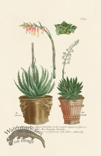 (image for) Weinmann PL 073