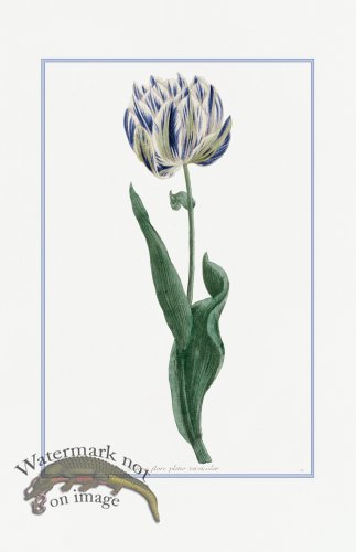 (image for) Blue Weinmann S 10