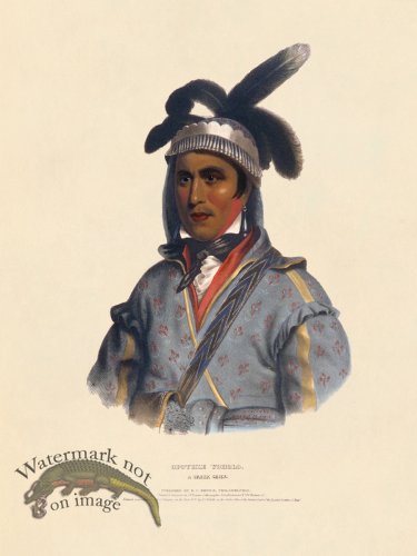 (image for) Opothle Yoholo Creek