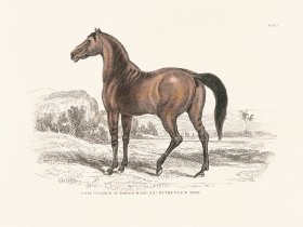(image for) Jar Horse 02
