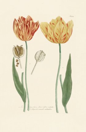 (image for) Weinmann Pl 989
