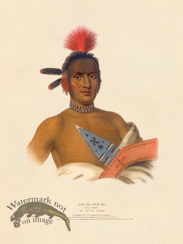 (image for) Moa-na-hon-ga Ioway