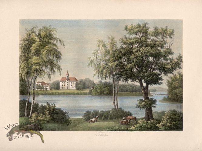 (image for) 06 Torpa