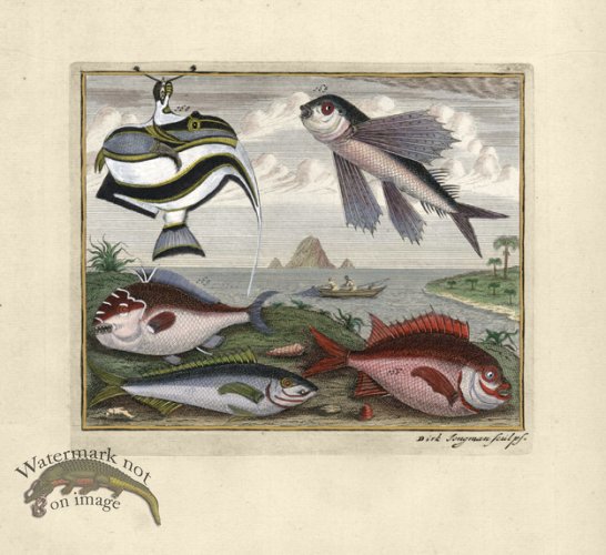 (image for) Valentijn 13