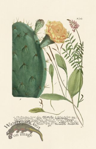 (image for) Weinmann PL 765