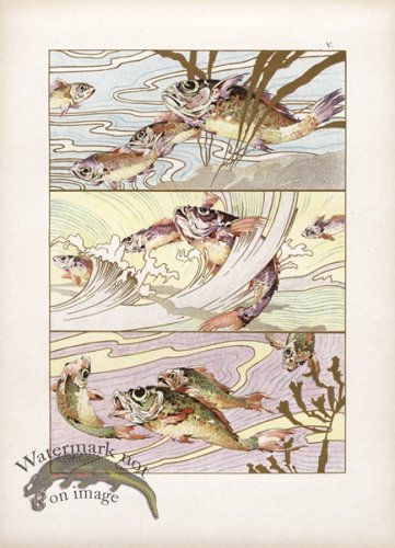 (image for) Gold Leaf Fish