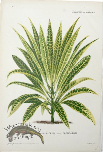 (image for) Horticult LP 09