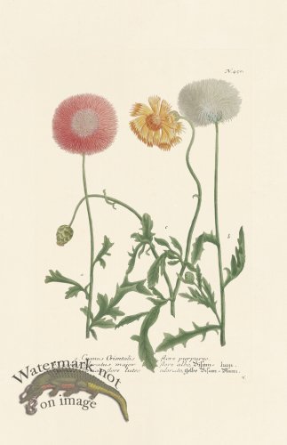 (image for) Weinmann PL 450