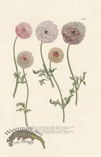 (image for) Weinmann PL 850