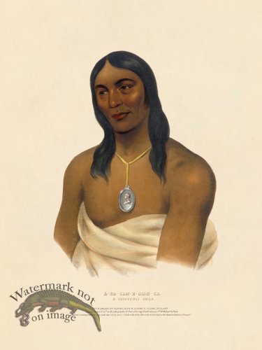 (image for) A-na-cam-e-gish-ca Chippeway