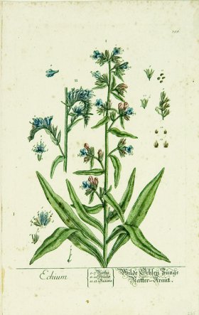 Blackwell German 040