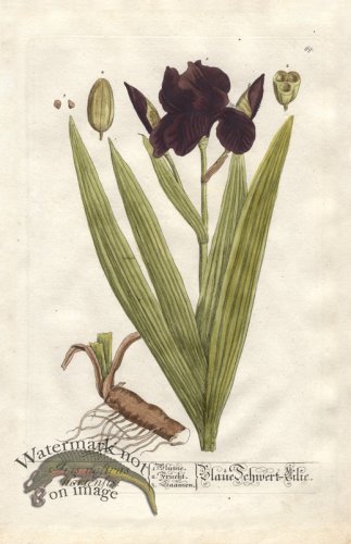 (image for) Blackwell GE 069