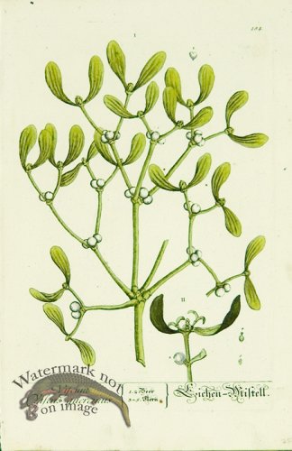 (image for) Blackwell German 131