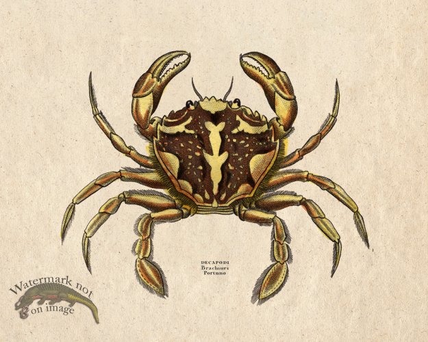 (image for) Sand_Soldier_06