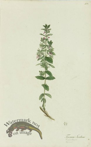 (image for) 1828_Gmp 091