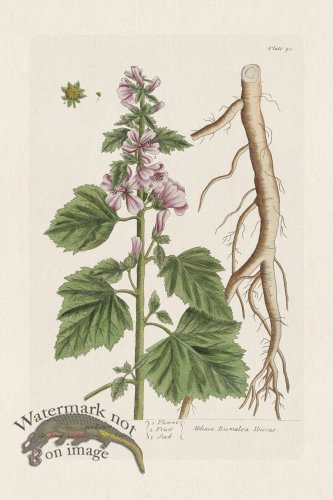 (image for) BEE 090 Marshmallows