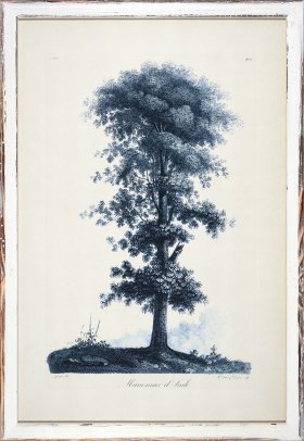 Blue Trees in Distressed White 08