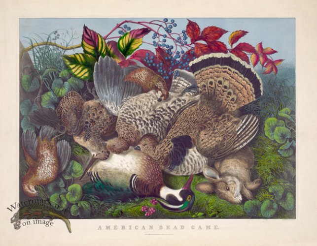 (image for) American Dead Game