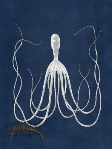 (image for) Octopus Blue 23