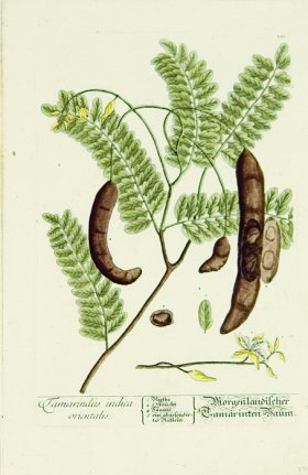 Blackwell German 121