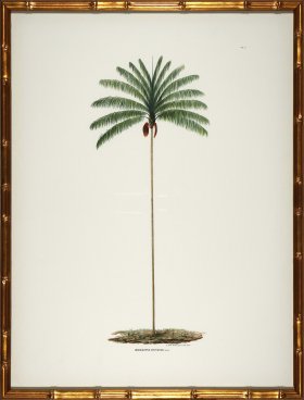 Palm trees in Gold Bamboo 06