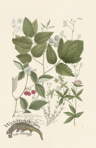 (image for) Weinmann PL 873