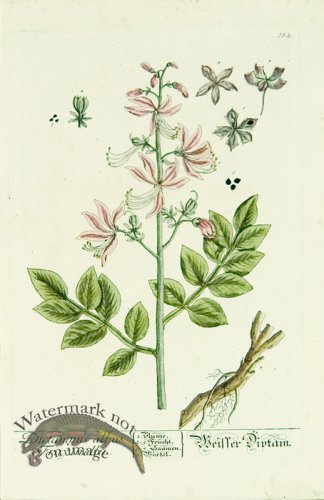 Blackwell German 178