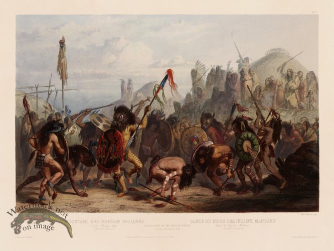 (image for) 18 Bison Dance