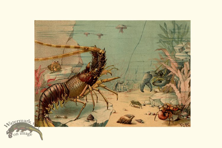 (image for) Underwater 26