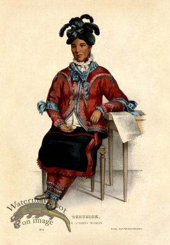 (image for) Tshusick