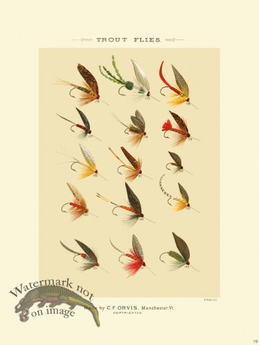 (image for) Favorite Flies 19 Trout