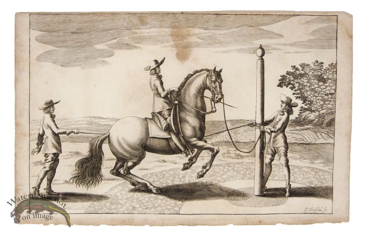 (image for) Winter Horse 05