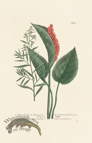 (image for) Weinmann PL 471