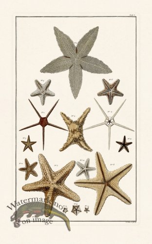 (image for) Seba B2 005