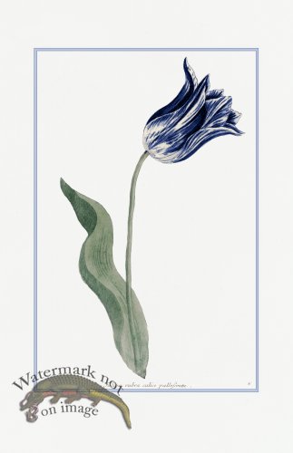 (image for) Blue Weinmann S 16