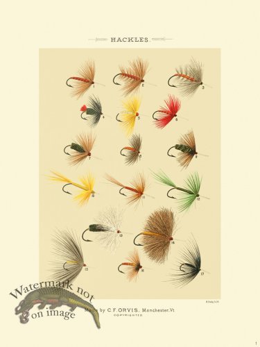 (image for) Favorite Flies 01 Hackles