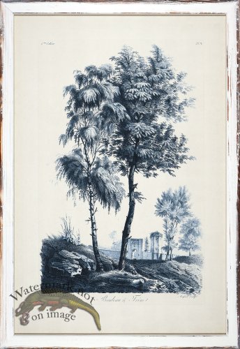 (image for) Blue Trees in Distressed White 12