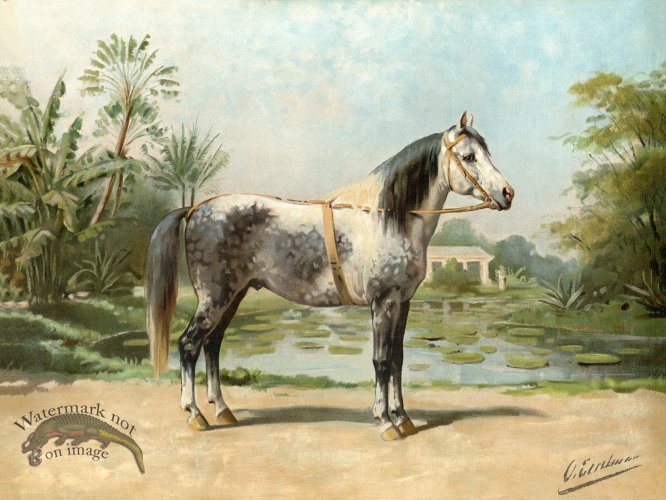 (image for) Sandlewood Horse by Eerelman