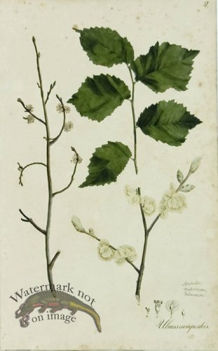 (image for) 1828_Gmp 085