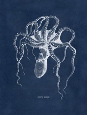 Octopus Blue 45