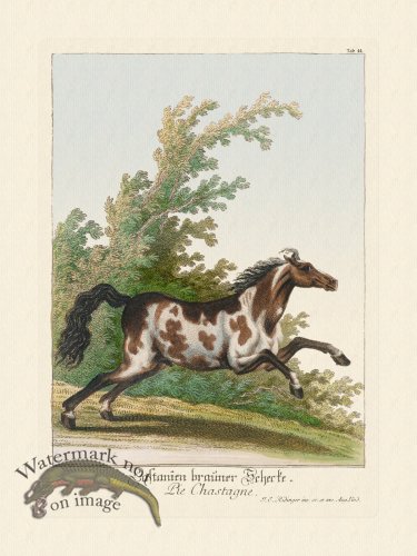 (image for) Ridingers Horses 44