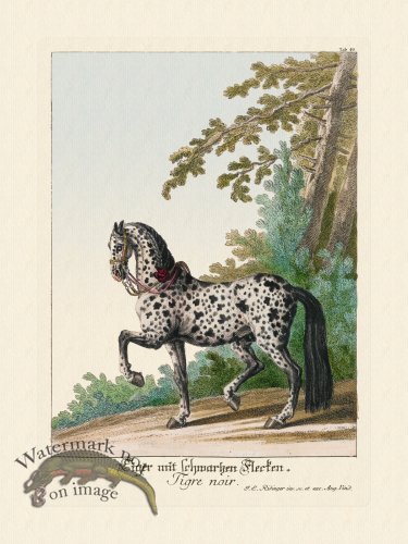 (image for) Ridingers Horses 49