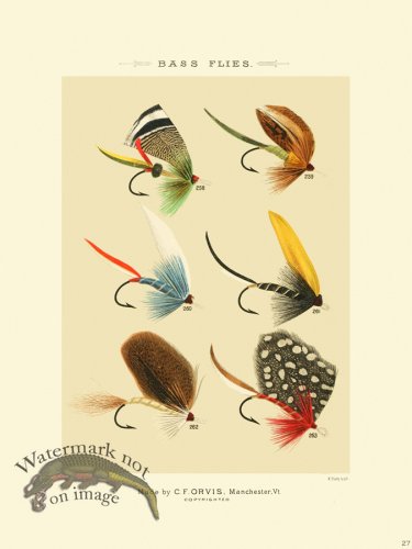 (image for) Favorite Flies 27 Bass