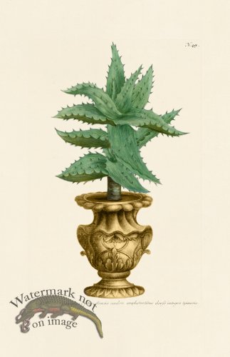 (image for) Weinmann PL 049