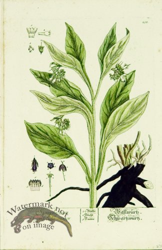 (image for) Blackwell German 128