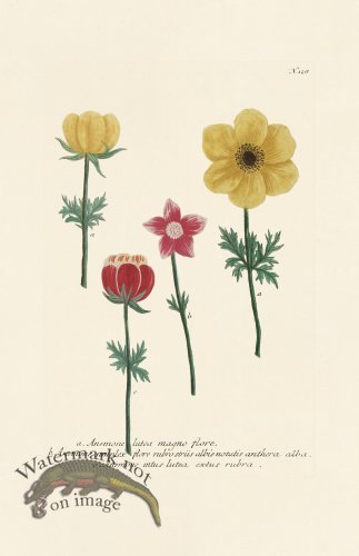 (image for) Weinmann PL 128