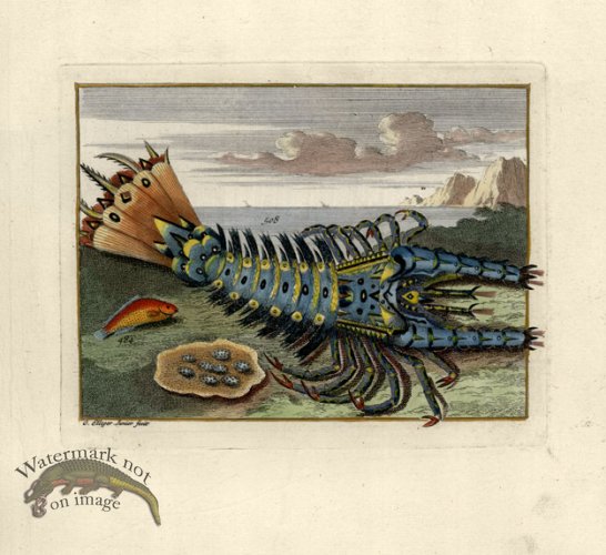 (image for) Valentijn 17