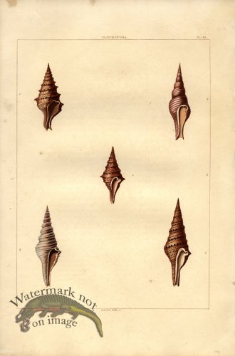 (image for) Perry pl 32