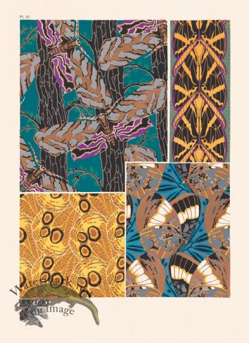 (image for) Seguy Butterfly 20